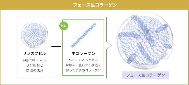 生コラーゲンの効果